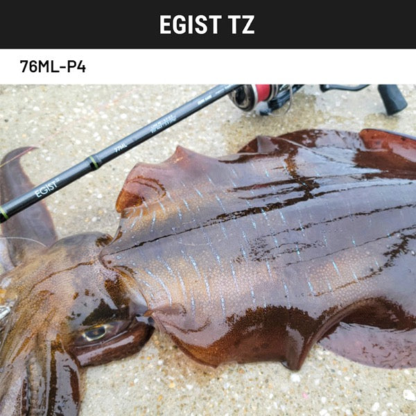 TailWalk EGIST TZ 76ML-P4 Spinning