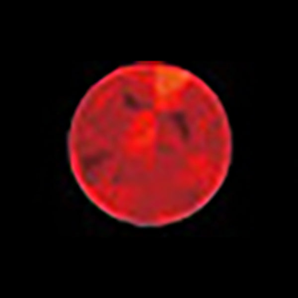 ACTIVE HOLO SEAL 14mm #SQUARE RED