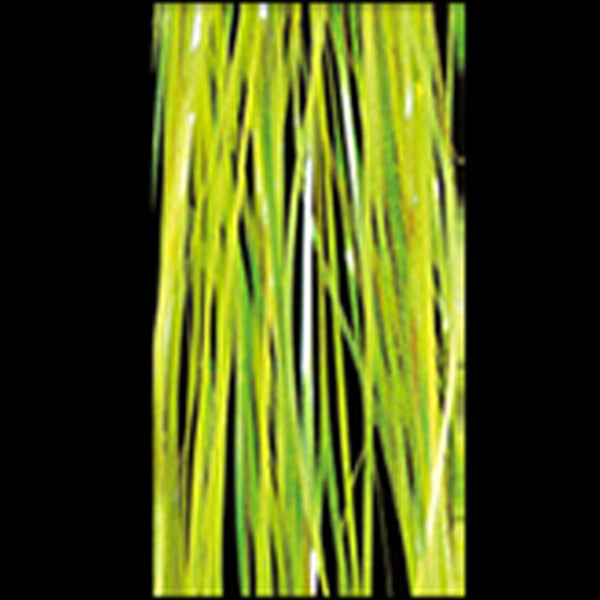 ACTIVE ACTIVE TINSEL FLAT F06 #YELLOW