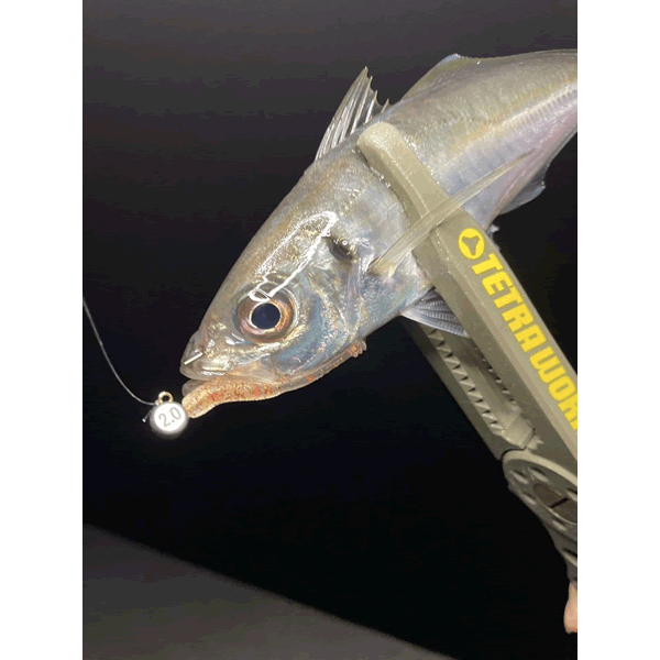 DUO TETRA WORKS SNIP HEAD TG S : 1.5g (3 pcs/pack)