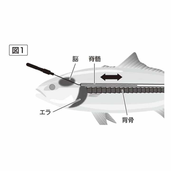 belmont IKEJIME PICK SHORT 160mm (PICK 50mm) : 28g MPｰ219