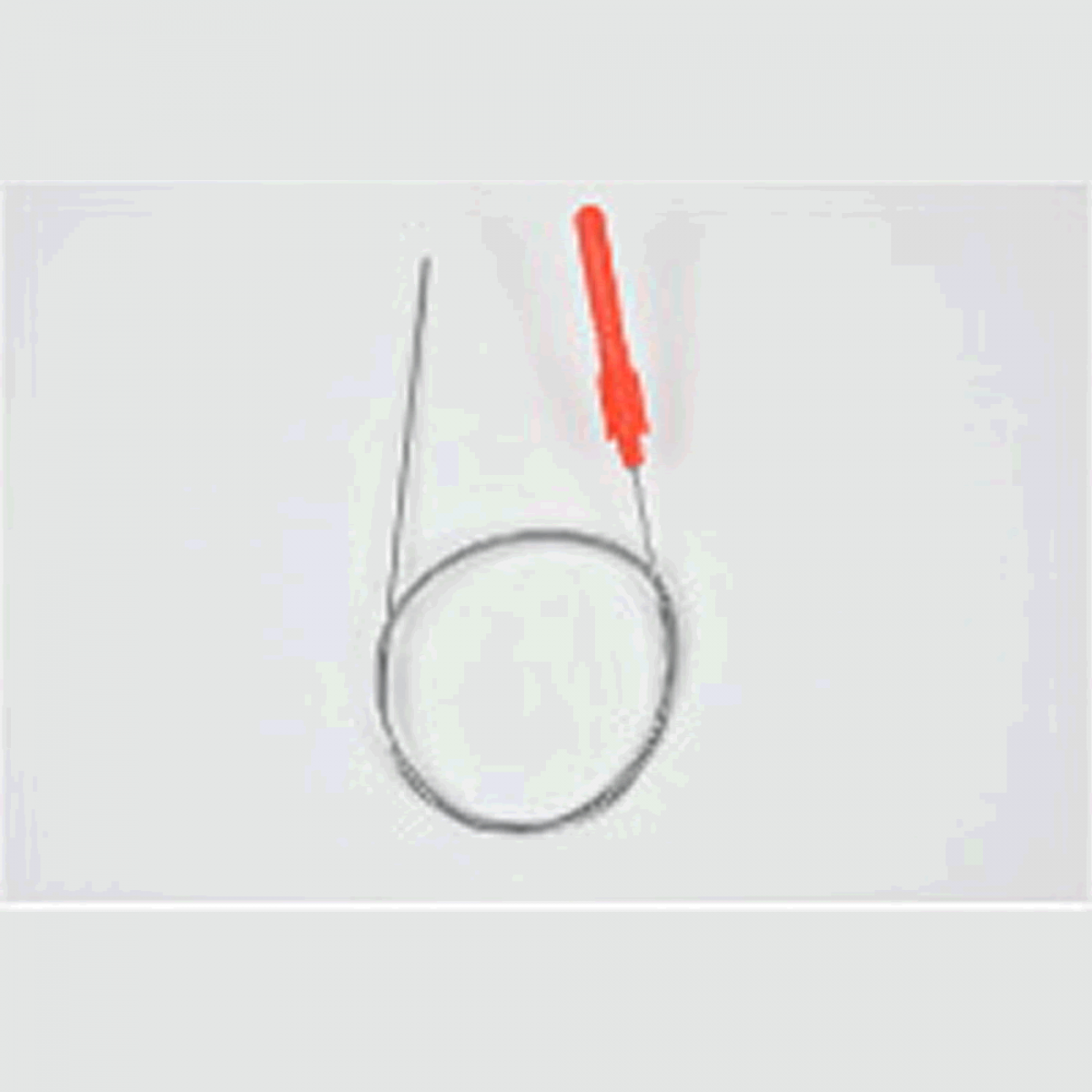 belmont SHAPE MEMORY ALLOY SHINKEIJIME φ0.8 x 50cm MP-221 FISH NERVE TIGHTENING