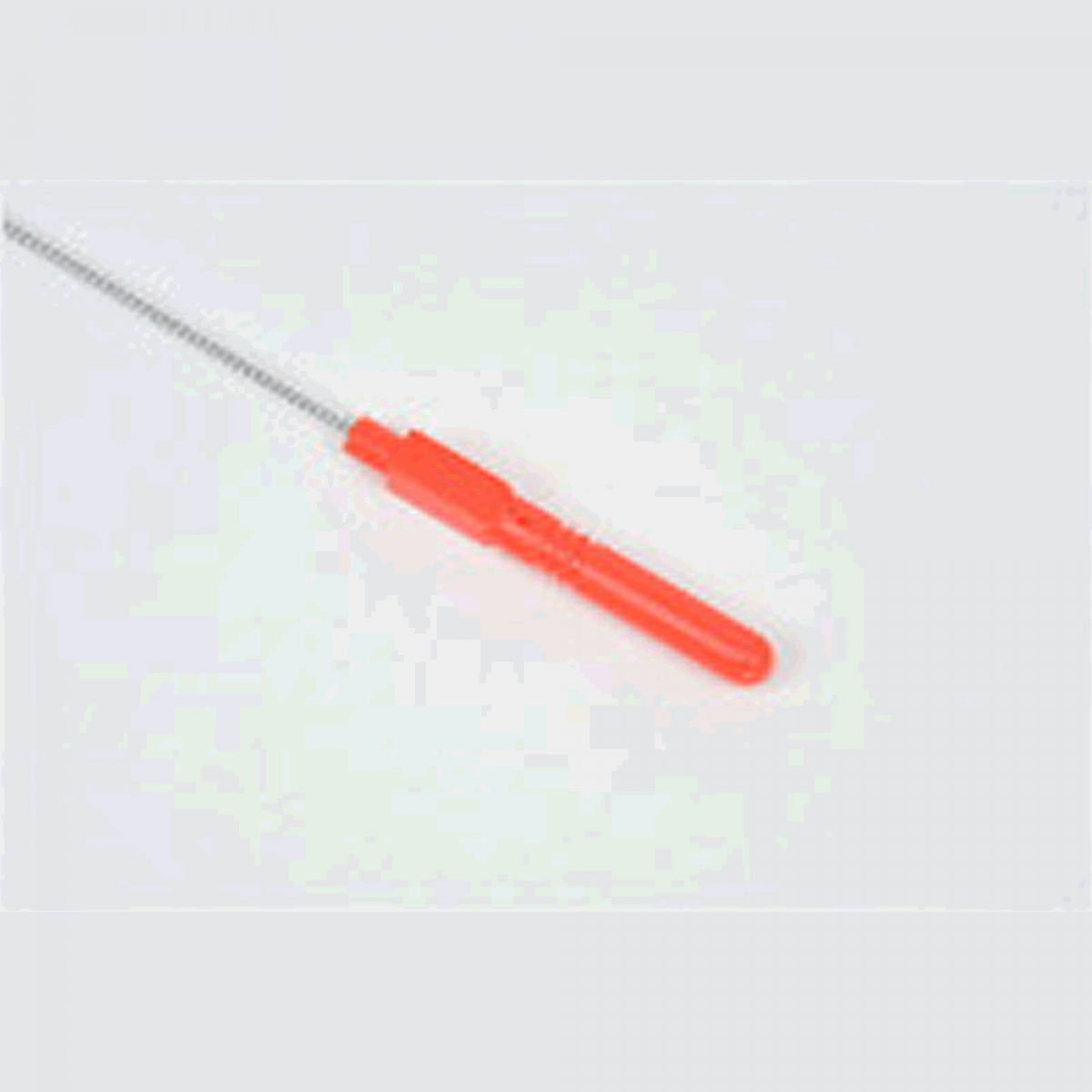 belmont SHAPE MEMORY ALLOY SHINKEIJIME φ0.8 x 50cm MP-221 FISH NERVE TIGHTENING