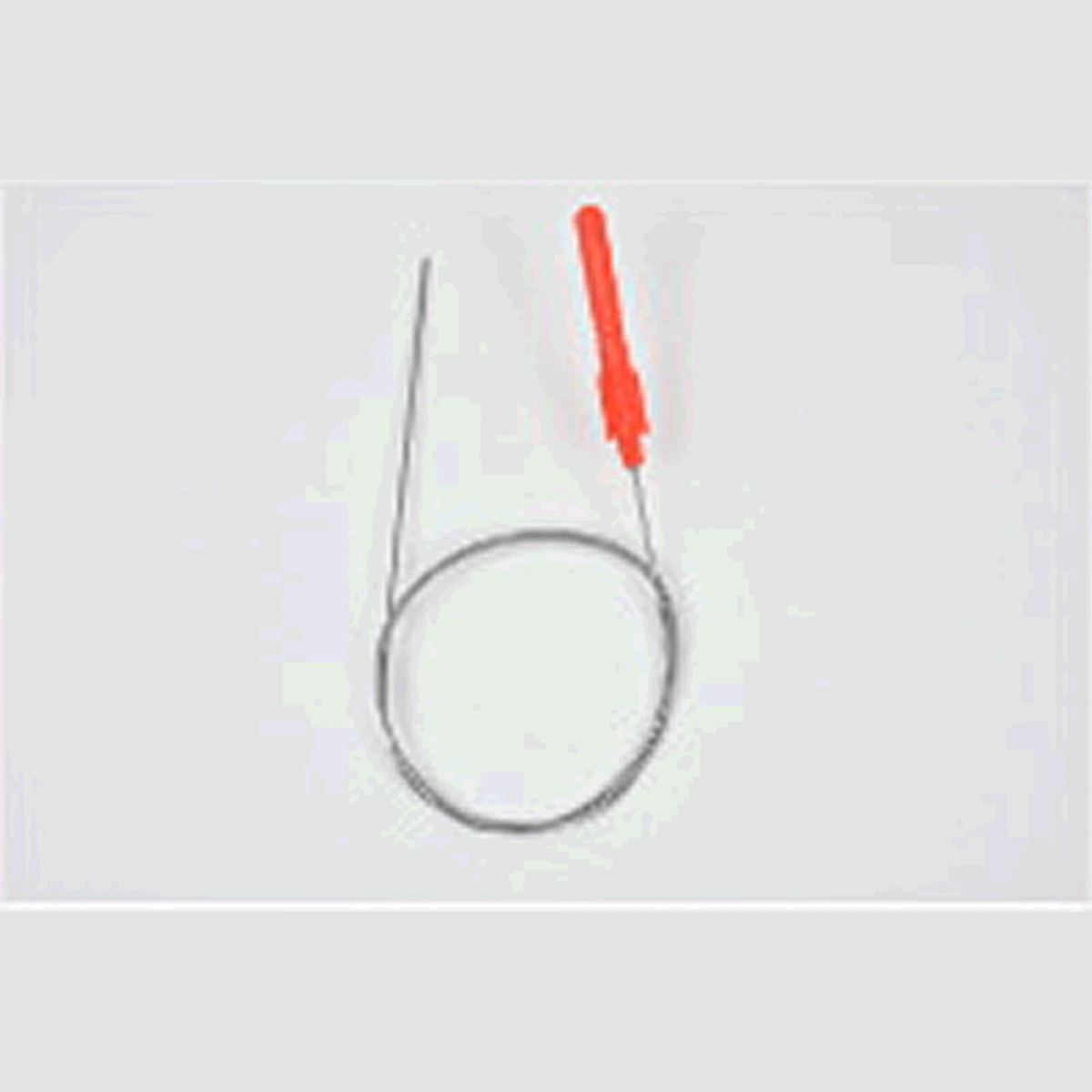 belmont SHAPE MEMORY ALLOY SHINKEIJIME φ0.8 x 80cm MP-222 FISH NERVE TIGHTENING