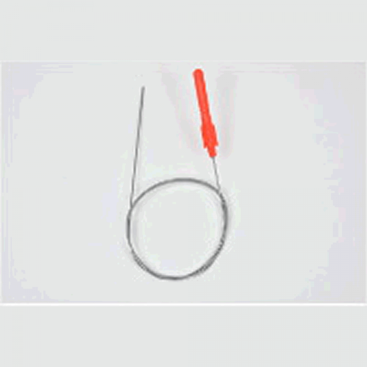 belmont SHAPE MEMORY ALLOY SHINKEIJIME φ1.0 x 30cm MP-223 FISH NERVE TIGHTENING
