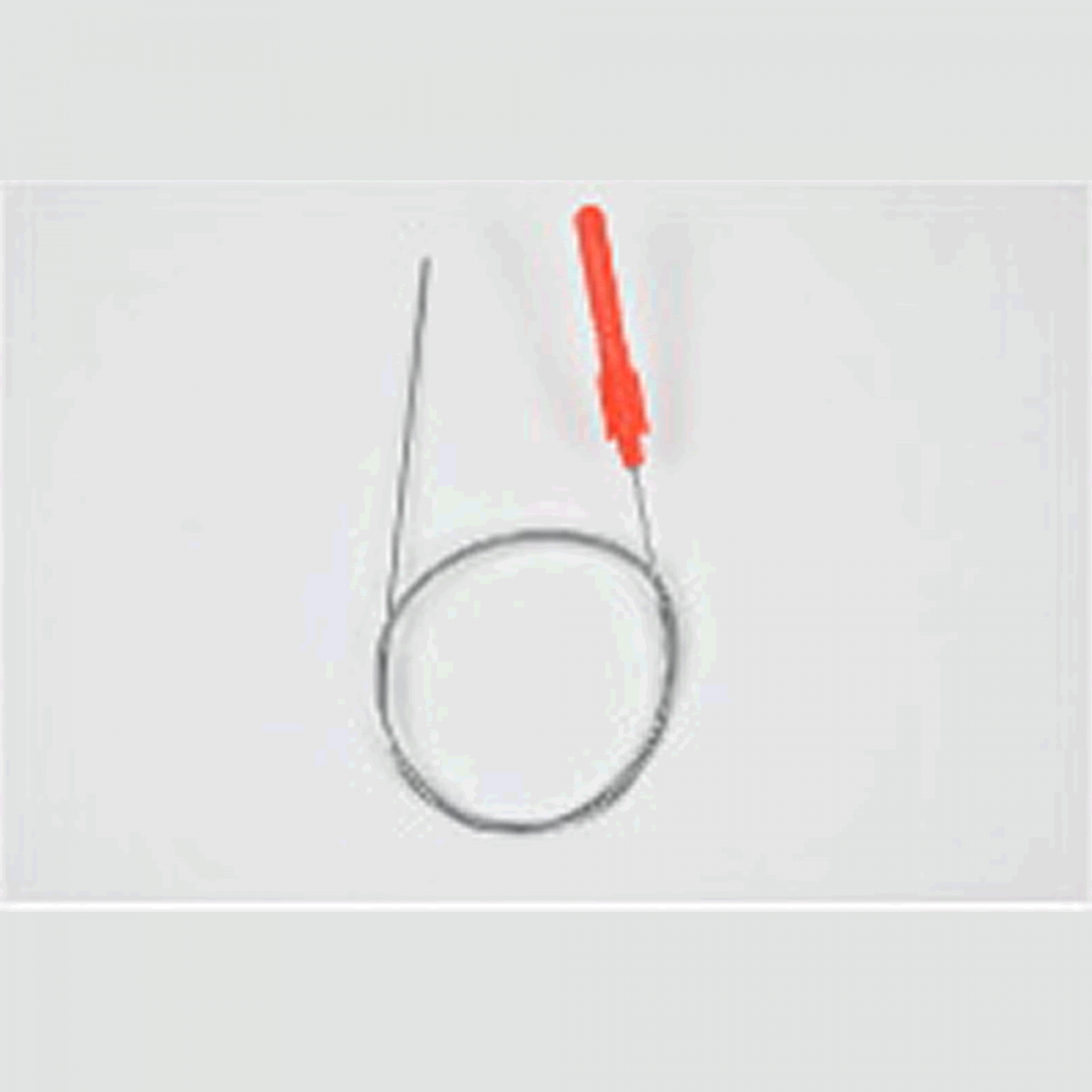 belmont SHAPE MEMORY ALLOY SHINKEIJIME φ1.0 x 80cm MP-225 FISH NERVE TIGHTENING