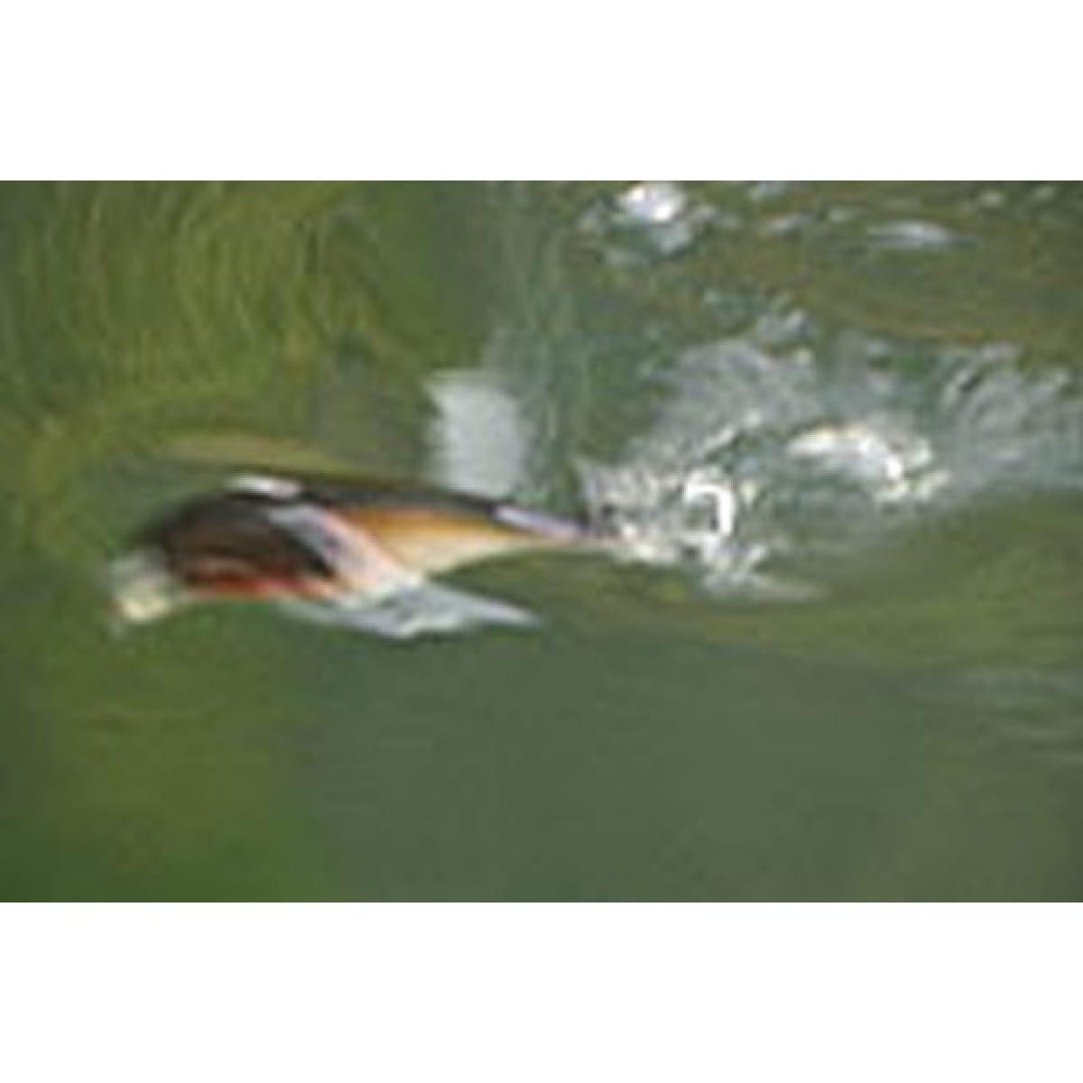 deps BUZZJET 96mm : 30g #05 HOT TIGER