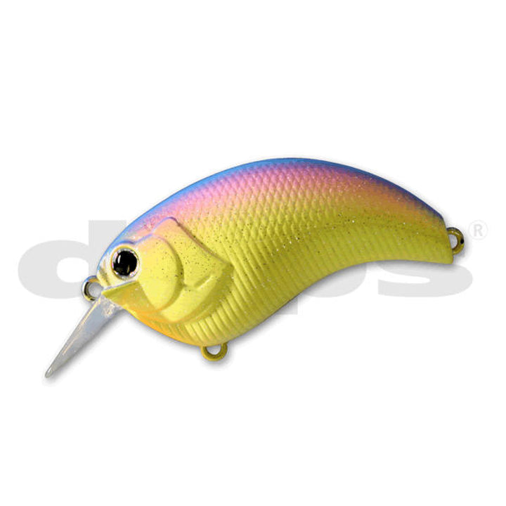 deps EVOKE 1.2 55mm : 11g #09 RAINBOW