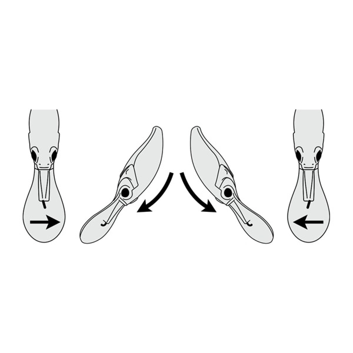 deps EVOKE SHAD 55.0mm : 7.8g Slow Floating #01 TABLE LOCK SHAD