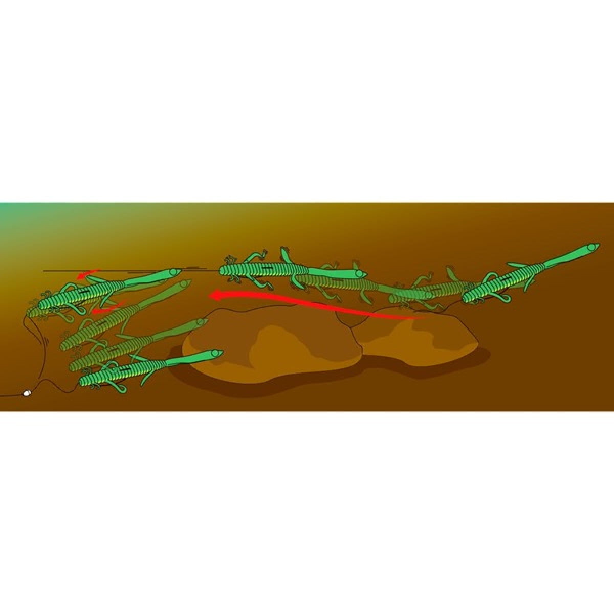deps DEATHADDER LIZARD 8" (5 pcs/pack) #02 WATER MELON SEED