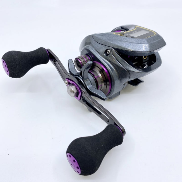DAIWA 19 LIGHT SW X IC