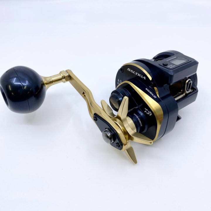 DAIWA 21 SALTIGA IC 300