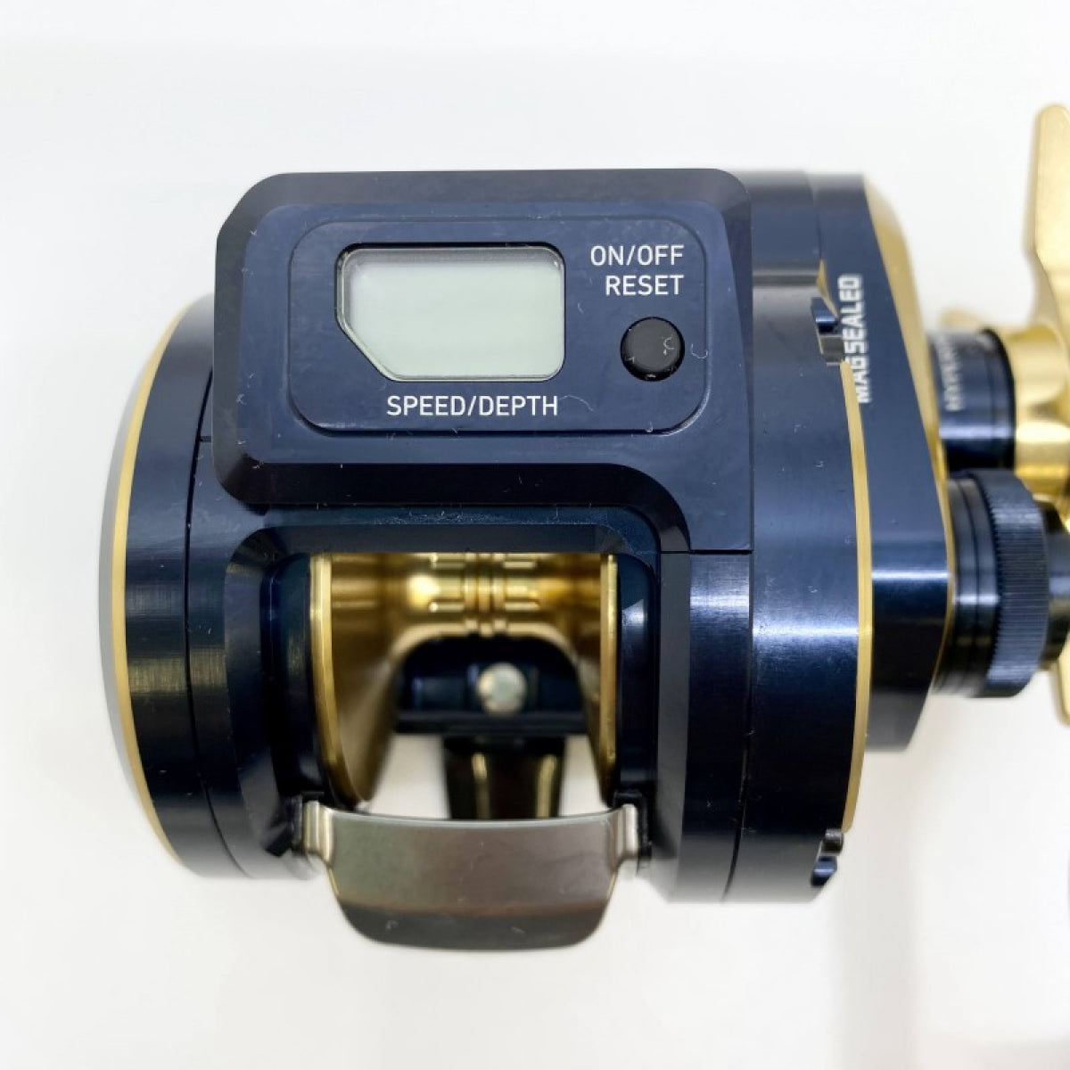 DAIWA 21 SALTIGA IC 300