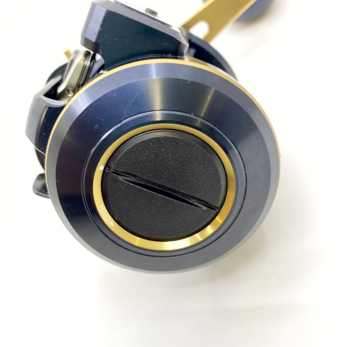 DAIWA 21 SALTIGA IC 300