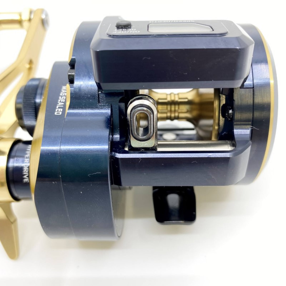 DAIWA 21 SALTIGA IC 300