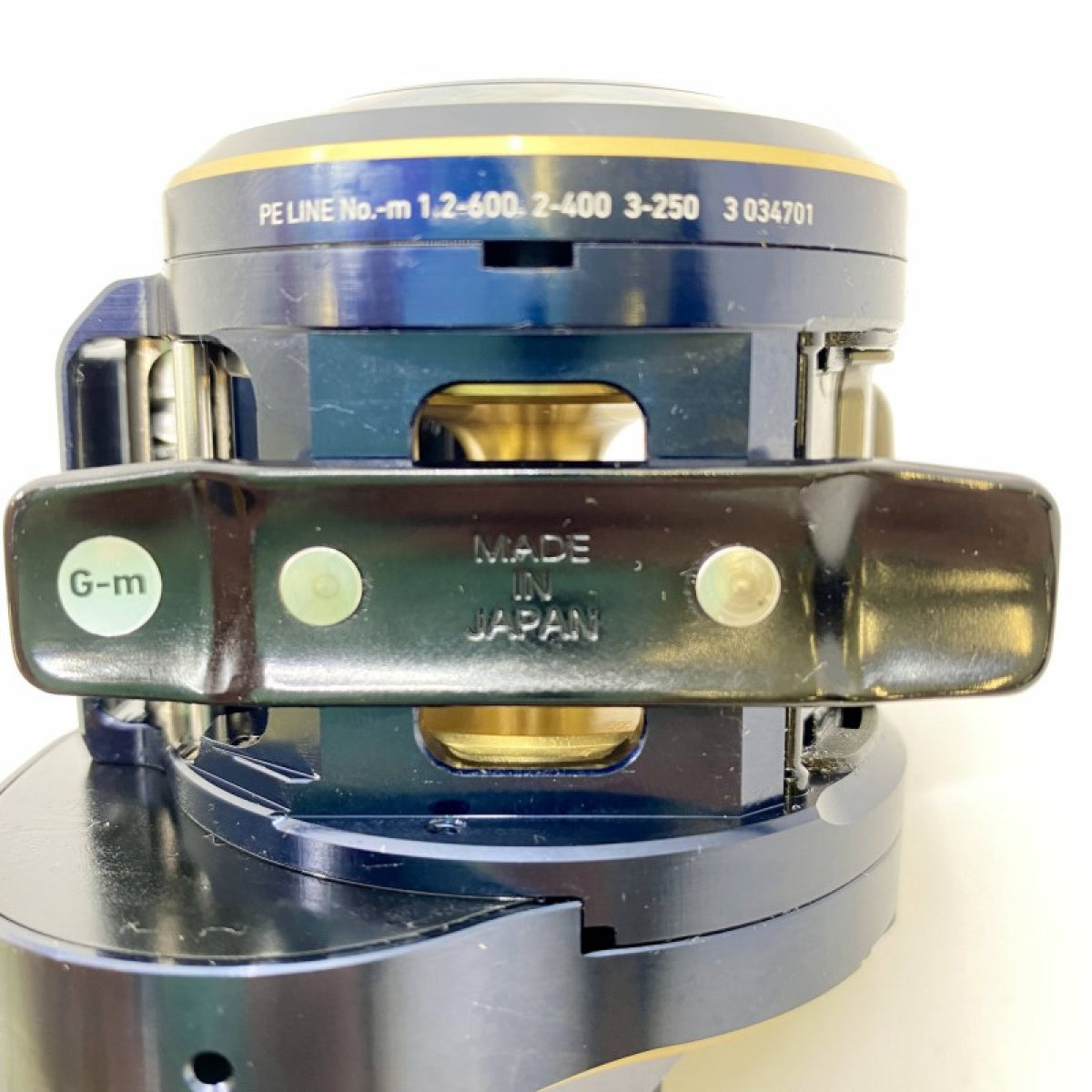DAIWA 21 SALTIGA IC 300