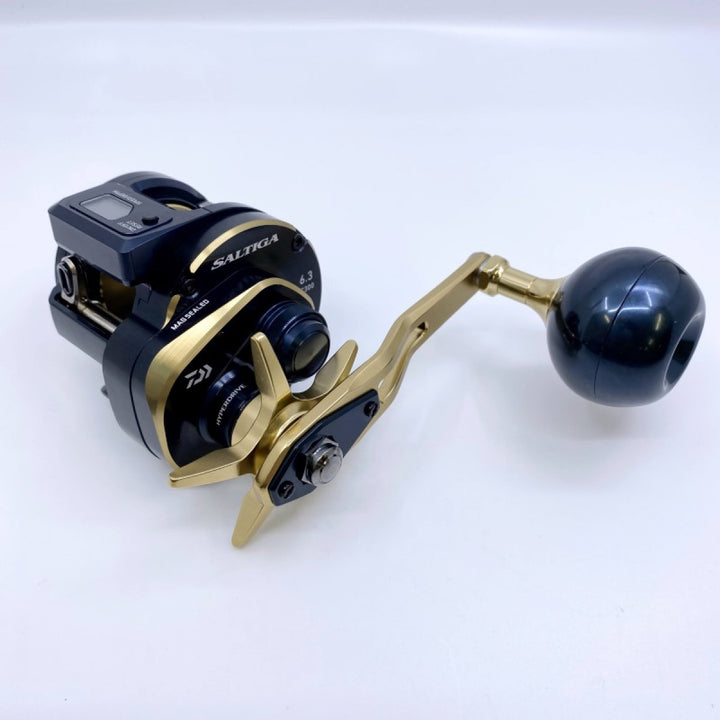 DAIWA 21 SALTIGA IC 300L
