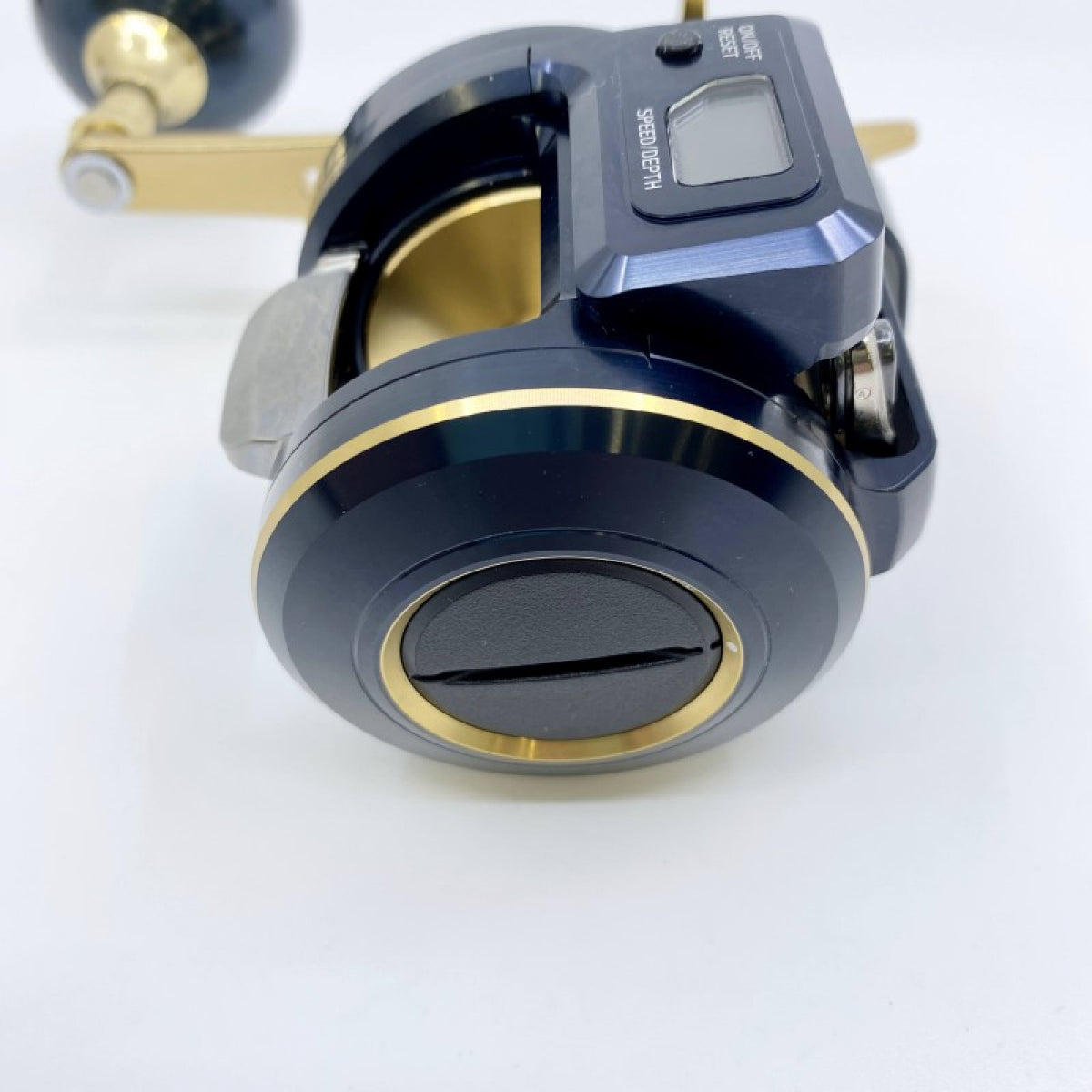 DAIWA 21 SALTIGA IC 300L