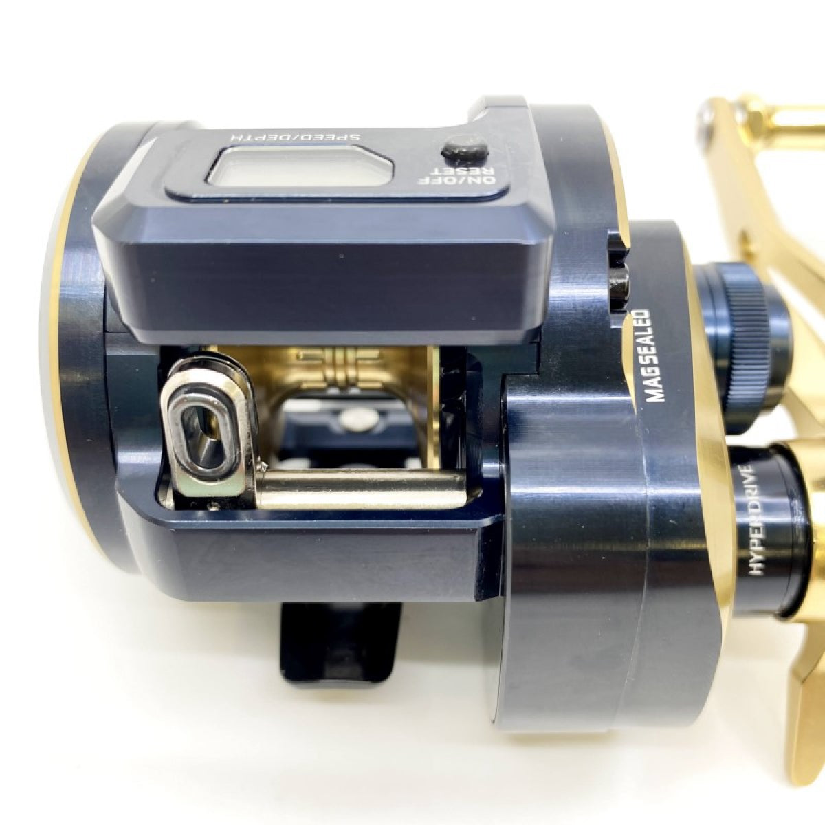 DAIWA 21 SALTIGA IC 300L