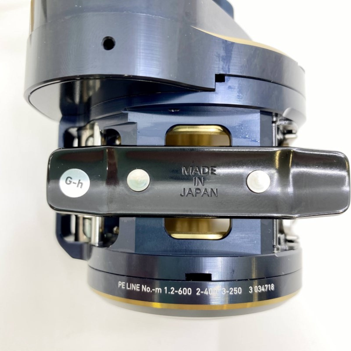 DAIWA 21 SALTIGA IC 300L