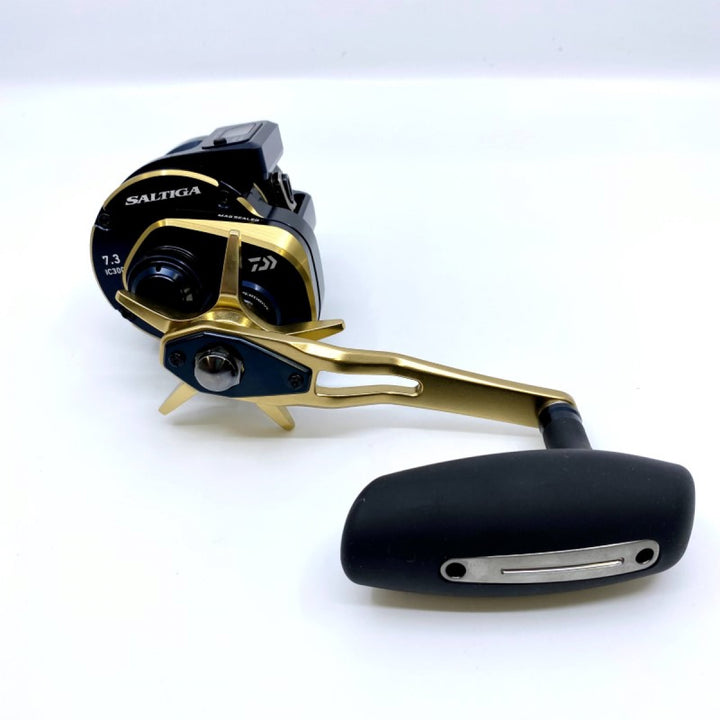 DAIWA 21 SALTIGA IC 300H-SJ