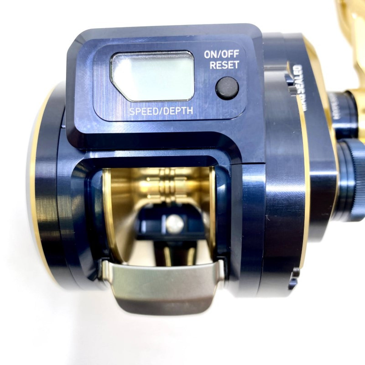 DAIWA 21 SALTIGA IC 300H-SJ