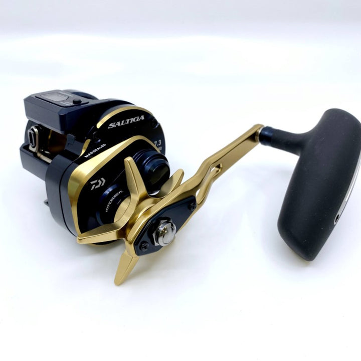 DAIWA 21 SALTIGA IC 300HL-SJ