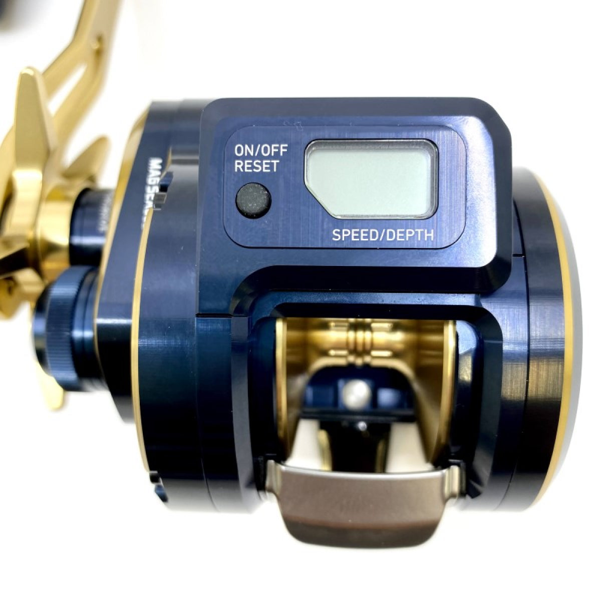 DAIWA 21 SALTIGA IC 300HL-SJ