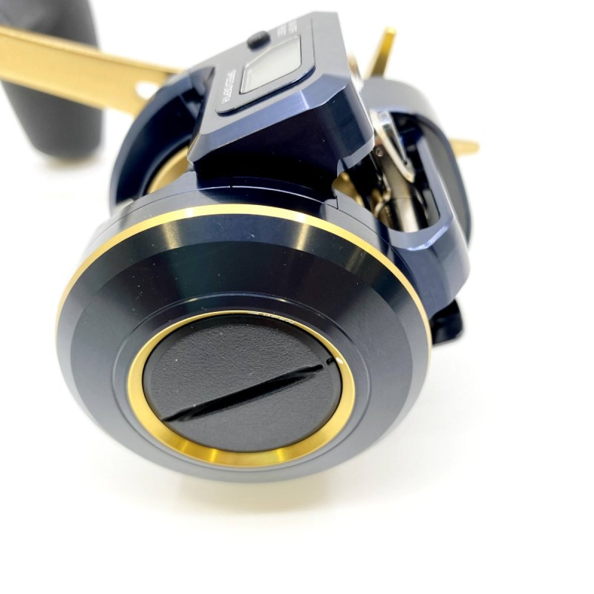 DAIWA 21 SALTIGA IC 300HL-SJ