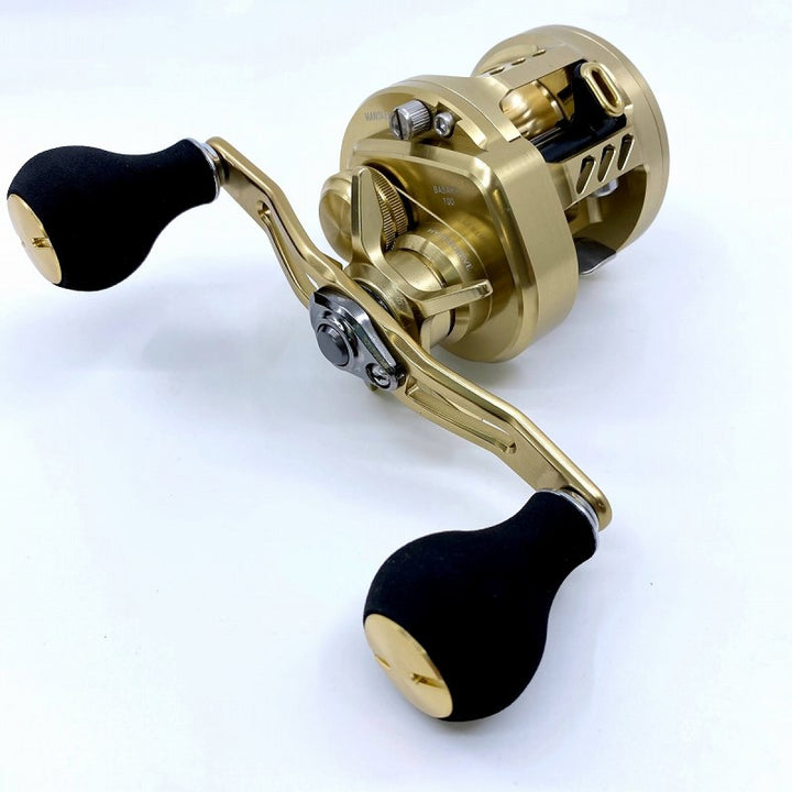 DAIWA 21 BASARA 100
