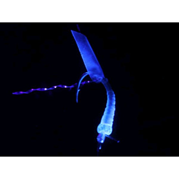 DAIWA KAITEKI SYOKUNIN SABIKI SOFT AMAEBI 140cm : 5-0.8 UV