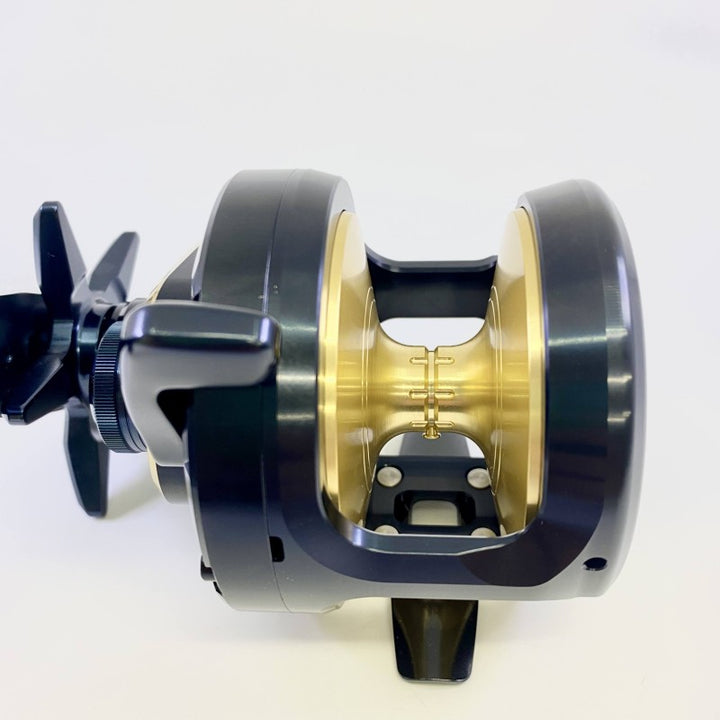DAIWA 25 SALTIGA 35HL