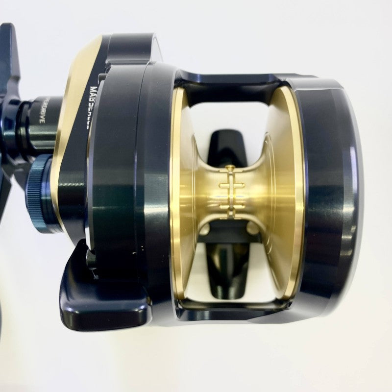 DAIWA 25 SALTIGA 35HL