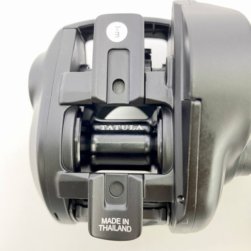 DAIWA 24 TATULA TW 100HL