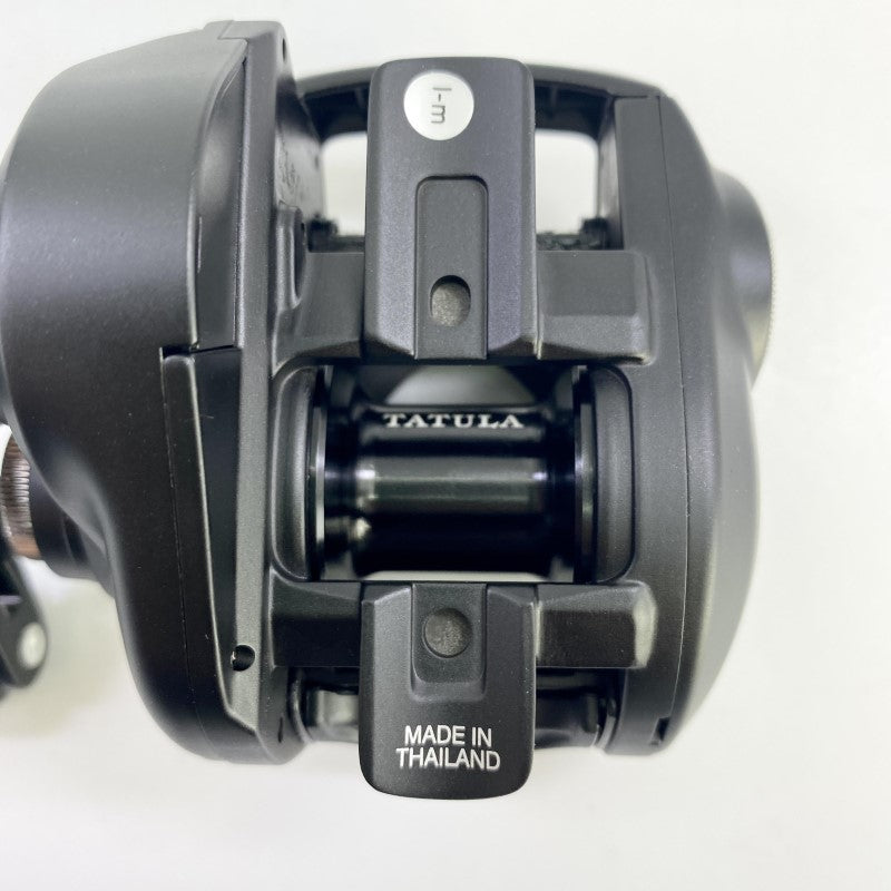DAIWA 24 TATULA TW 100XH