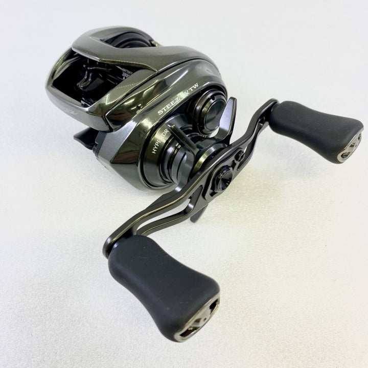 DAIWA 24 STEEZ SV TW 100HL