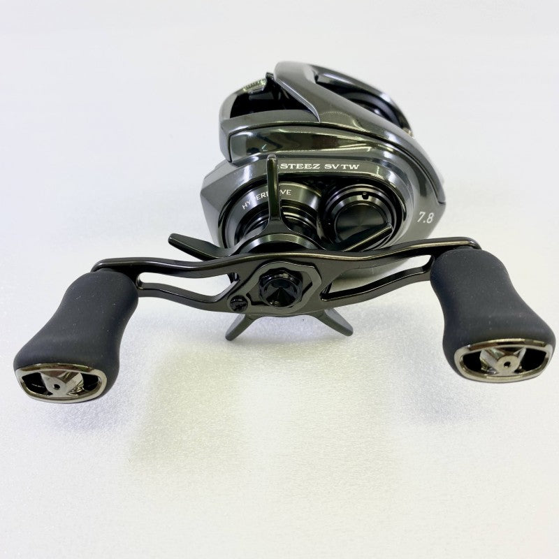 DAIWA 24 STEEZ SV TW 100HL