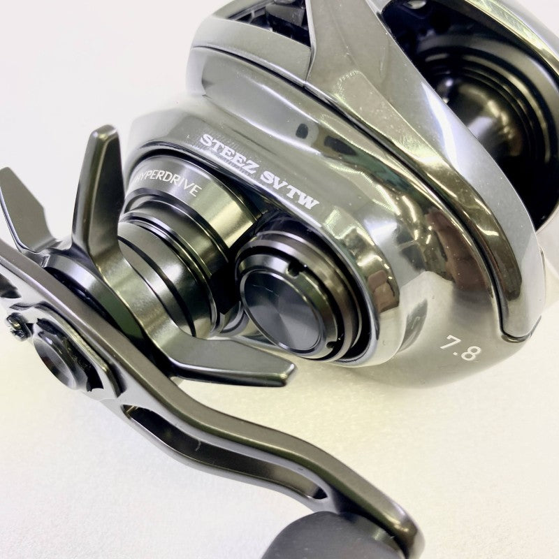 DAIWA 24 STEEZ SV TW 100HL