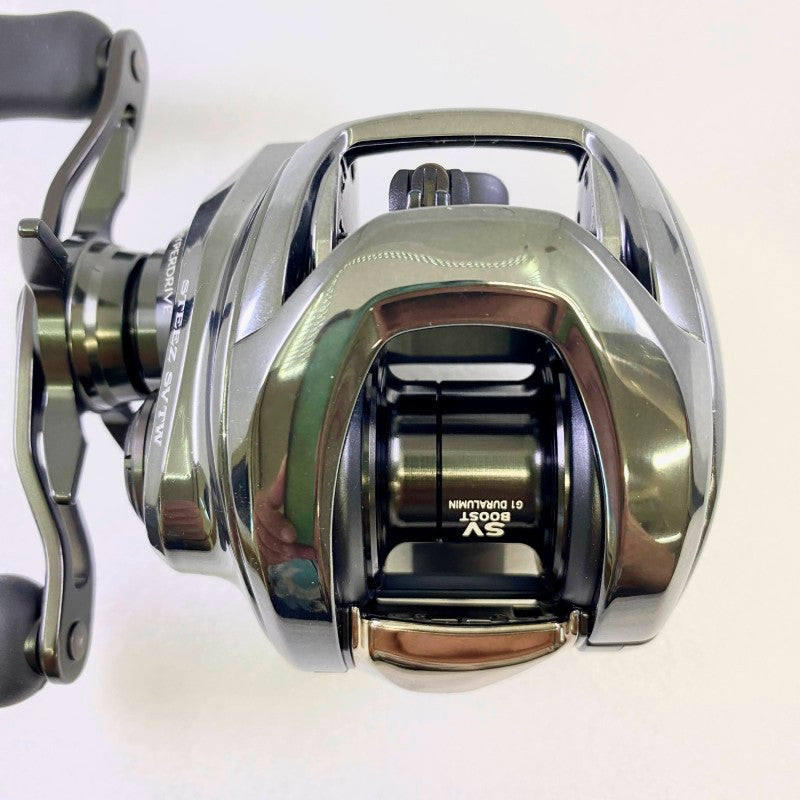 DAIWA 24 STEEZ SV TW 100HL