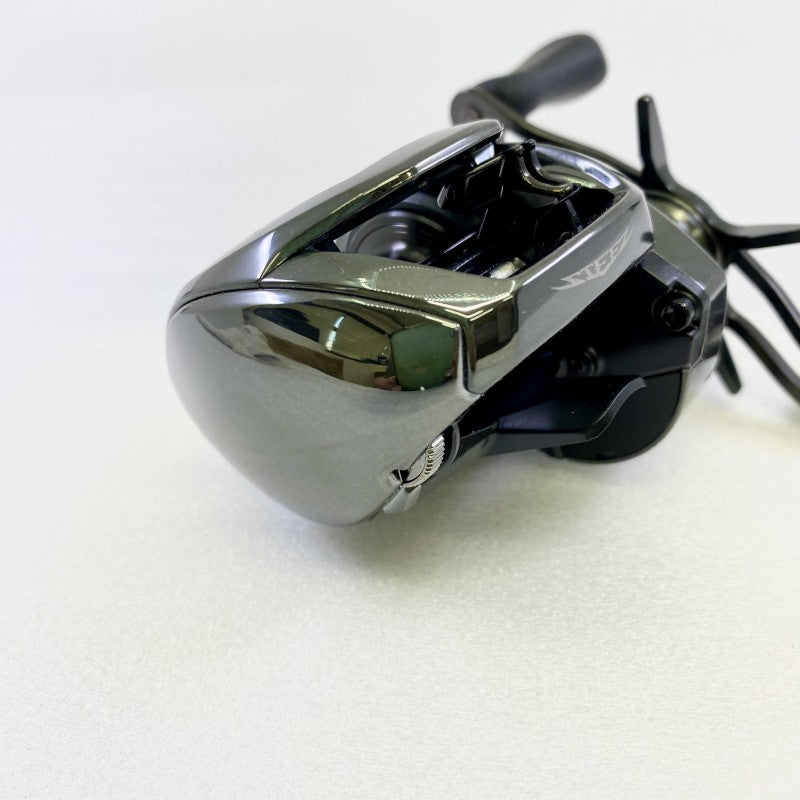 DAIWA 24 STEEZ SV TW 100HL