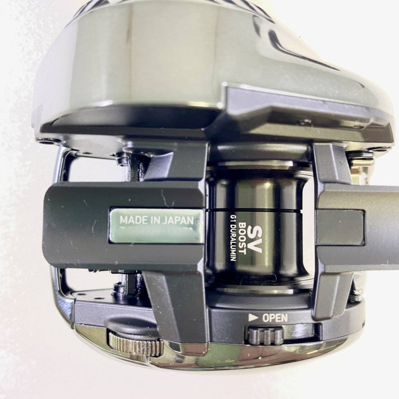 DAIWA 24 STEEZ SV TW 100HL