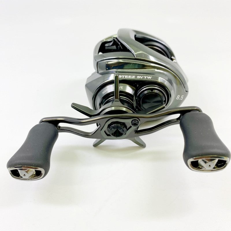 DAIWA 24 STEEZ SV TW 100XHL