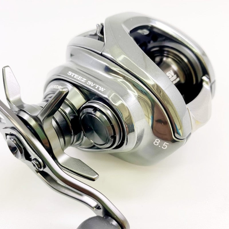 DAIWA 24 STEEZ SV TW 100XHL