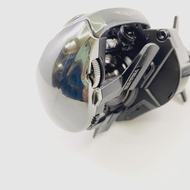 DAIWA 24 STEEZ SV TW 100XHL