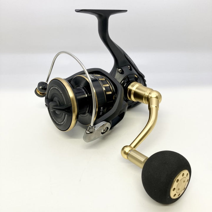 DAIWA 23 BG SW 8000-P