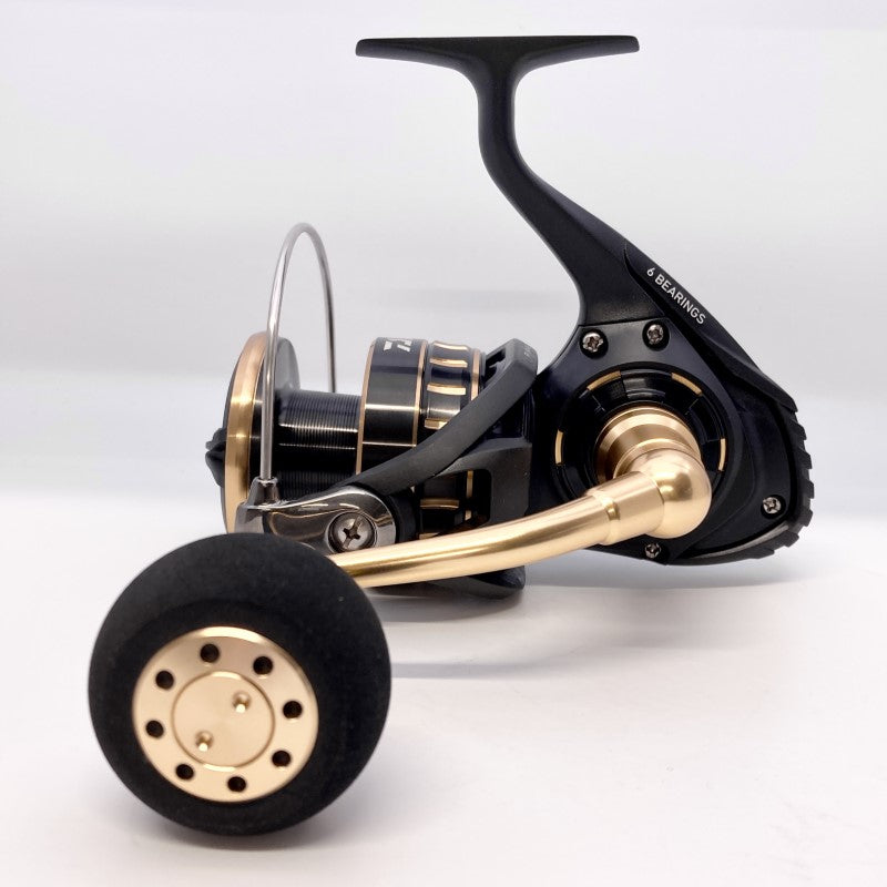 DAIWA 23 BG SW 8000-P