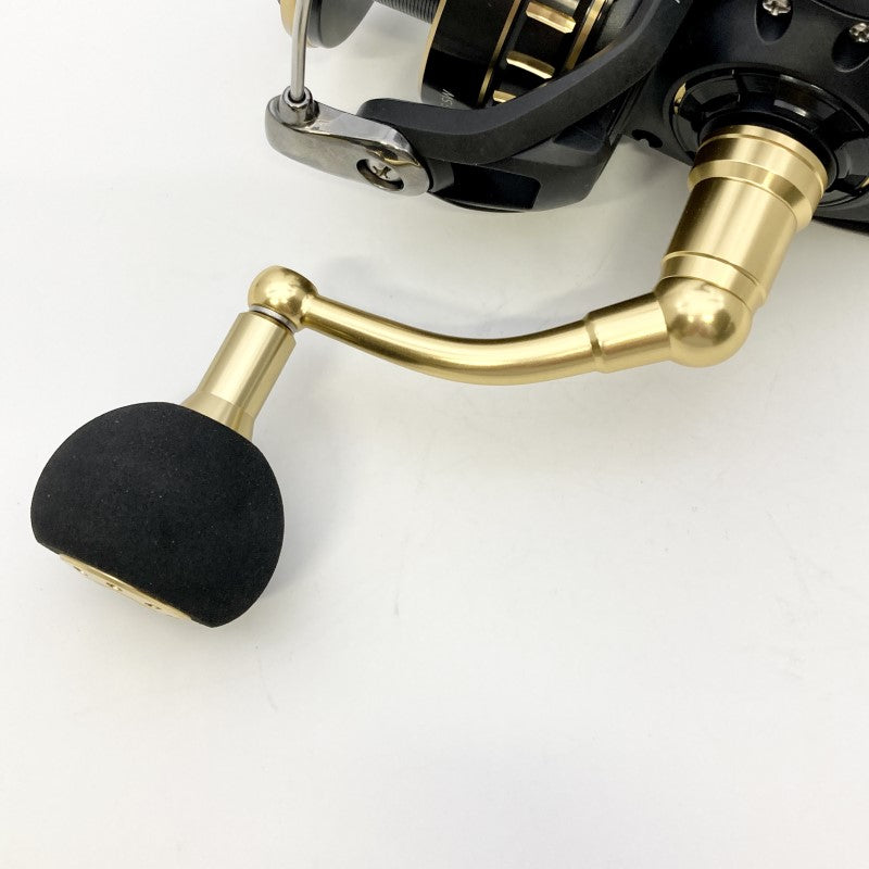 DAIWA 23 BG SW 8000-P