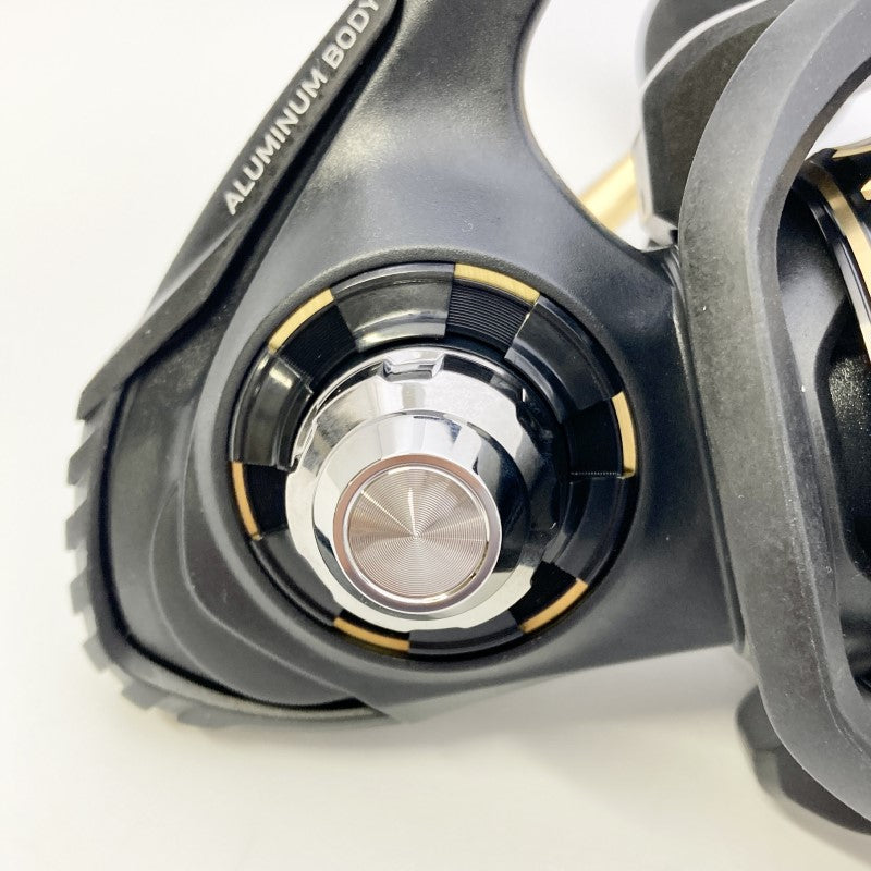 DAIWA 23 BG SW 8000-P