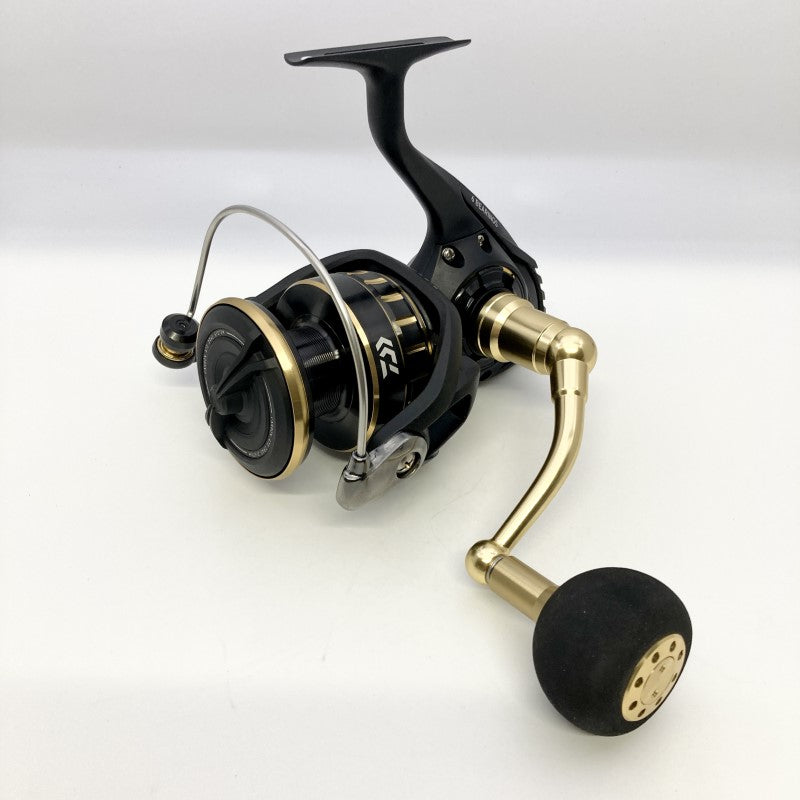 DAIWA 23 BG SW 8000-H