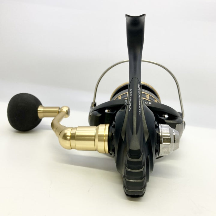 DAIWA 23 BG SW 8000-H